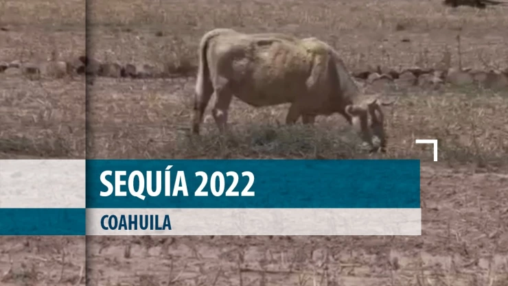 sequia 2022 coahuila.jpeg