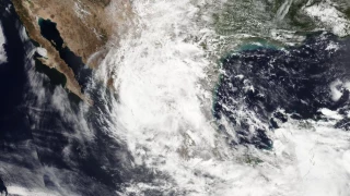 Oscilación Madden-Julian.