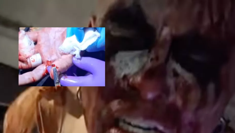 pagano luchador cortadas