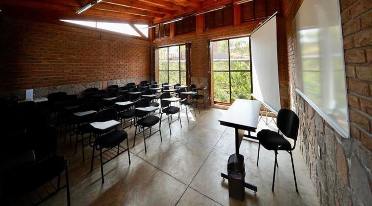 por qué SEP clases 25 de noviembre