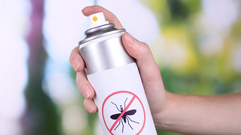mosquitos