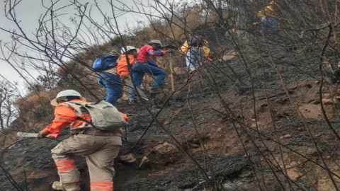 300 Brigadistas combaten incendio en el Cañón del Sumidero.png