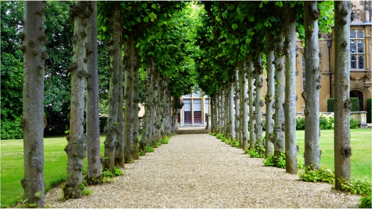 ¡Una sesión mágica! Este es el jardín secreto de Aguascalientes para hacer sesiones de fotos