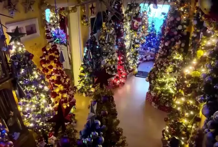 récord-mundial-familia-alemania-decora-su-casa-con-605-árboles-de-navidad