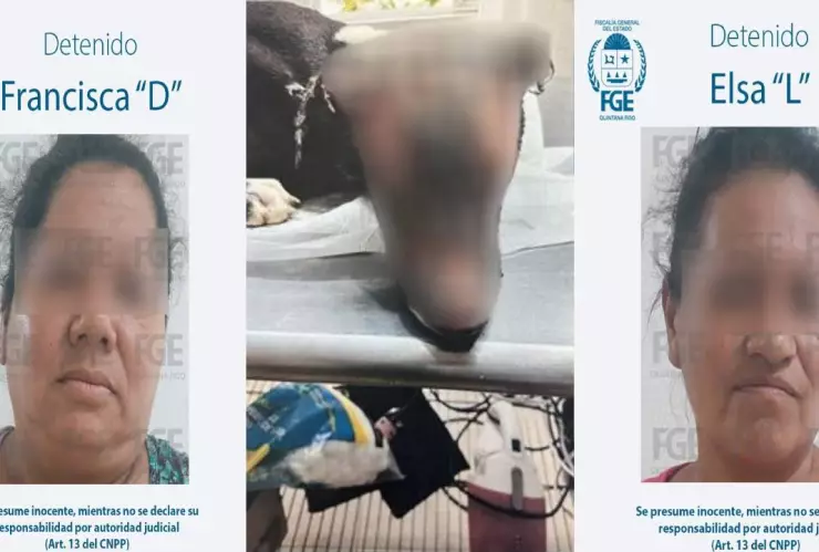 FGE Quintana Roo detiene a dos mujeres por el maltrato al perrito Valentín