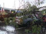 Inundaciones y árboles caídos luego de las fuertes lluvias en Puebla