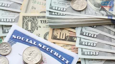 Plantilla adn  (3).png