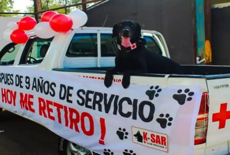 perro6.jpg