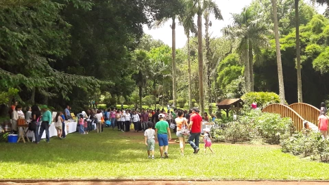 jardin-botanico-xalapa.jpg