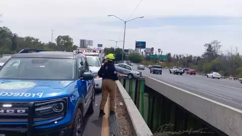 Auto camellón.jpeg