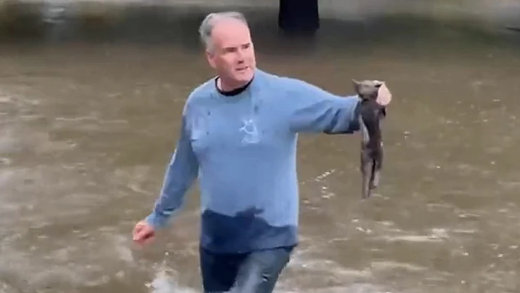 gatito_inundacion