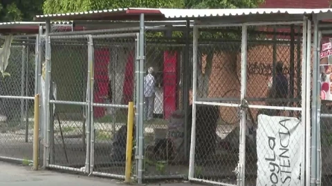 jaulas irregulares en zonas habitacionales.jpg