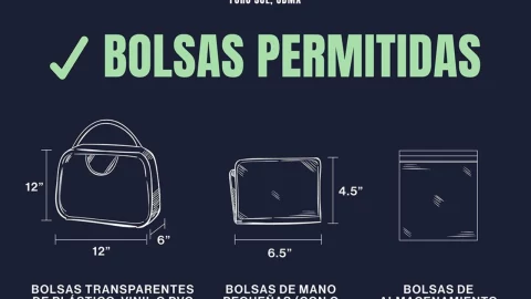 bolsas-permitidas-taylor-swift-cdmx