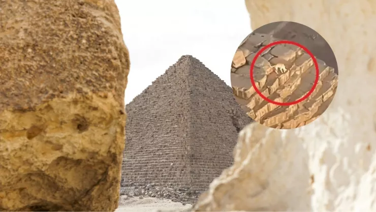 piramide-guiza-perro-video