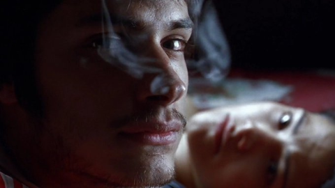 “Amores Perros”