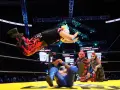 AAA vs Empresa Triplemania 29