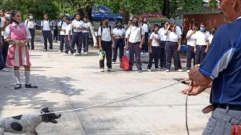 Una perrita fue maltratada, al igual que sus cachorros, por el director de escuela secundaria en Oaxaca.