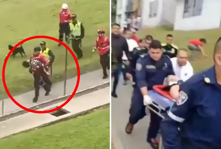 Niña de 3 años muere apuñalada por su madre en Manizales.png