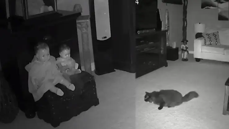 Fantasma sale de muñecas y ataca a gato.jpg