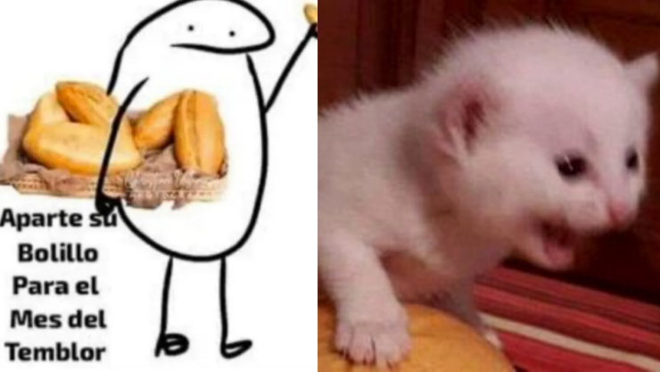 Sismo hoy 26 de septiembre en CDMX Los mejores memes para el susto