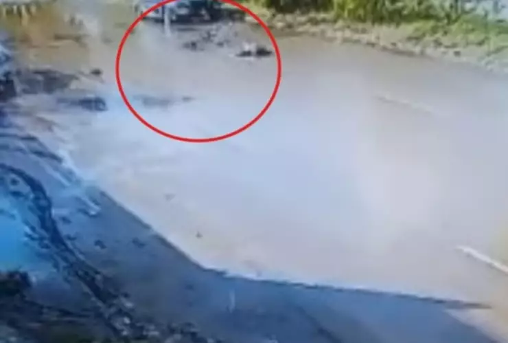 video patrulla atropella a ciclista tercera edad las torres puebla