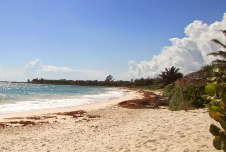 playa Quintana Roo