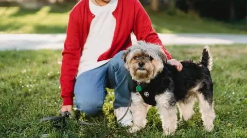 Hombre mató a patadas al perrito de una niña porque tropezó con él