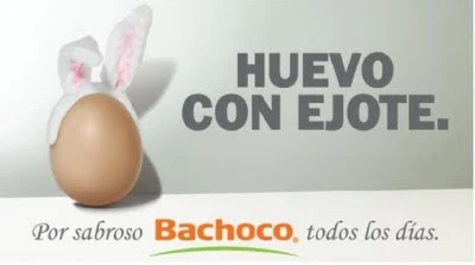 Bachoco rompe redes.jpg