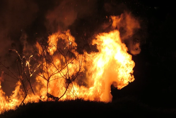 Cómo-afectan-los-incendios-forestales-en-México