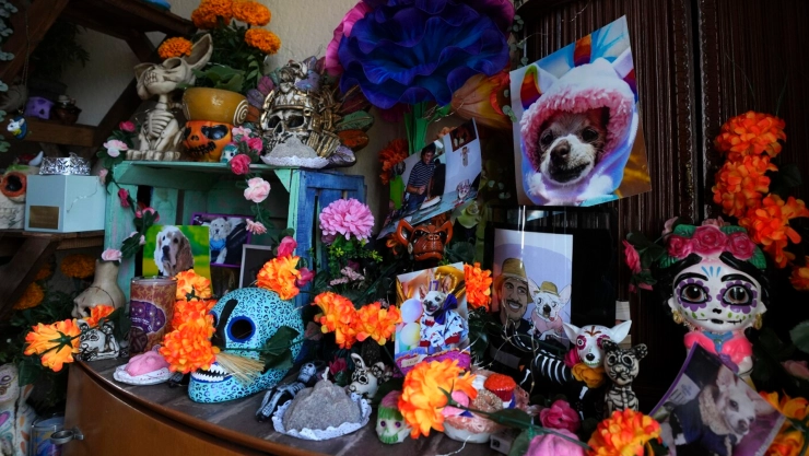 Día de Muertos con patas: altares en Villahermosa honran a mascotas que ya no están
