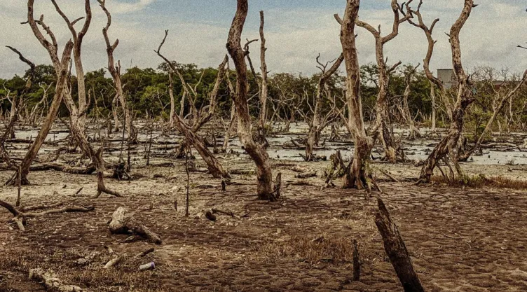 El Salvador declara Alerta Roja por sequía extrema asociada a “El Niño”