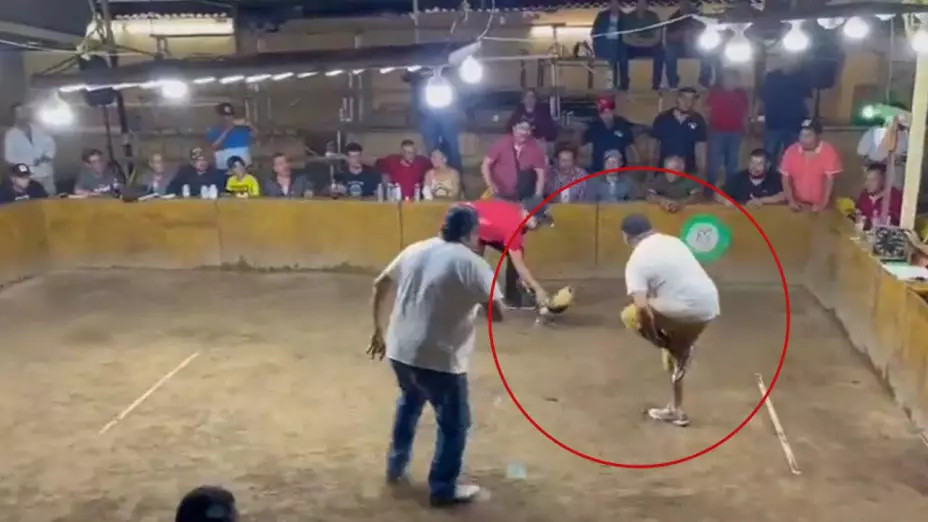VIDEO_ Ave se revela contra su dueño en una pela de gallos