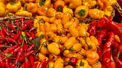 ¿El chile te puede ayudar a bajar de peso?, esto dice un informe de la UNAM