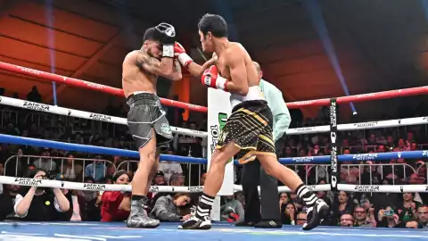 Pantera Nery Froilan Saludar pelea