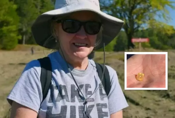 Hallazgo millonario Mujer encuentra extraño diamante caminando