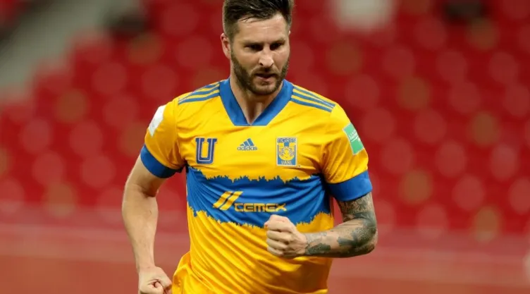 tigres.jpg