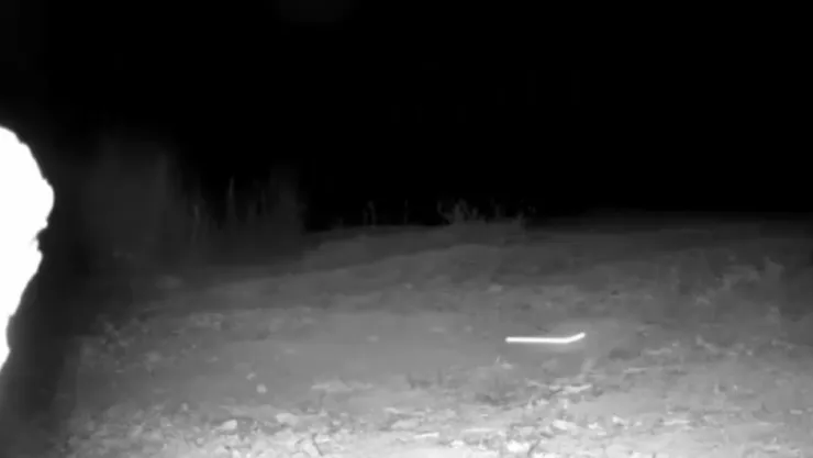 Texto del párrafo - 2025-04-22T121222.714.jpg