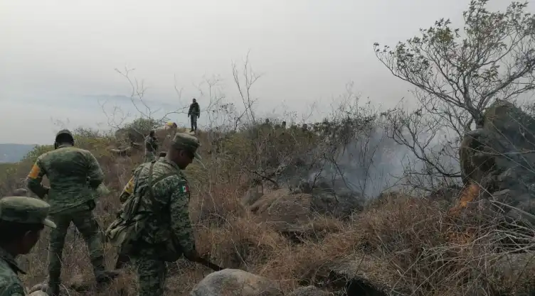 INCENDIOS-SEDENA.jpg