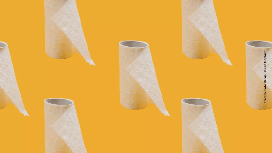 ¿Por qué cada vez más gente guarda los tubos del papel higiénico?