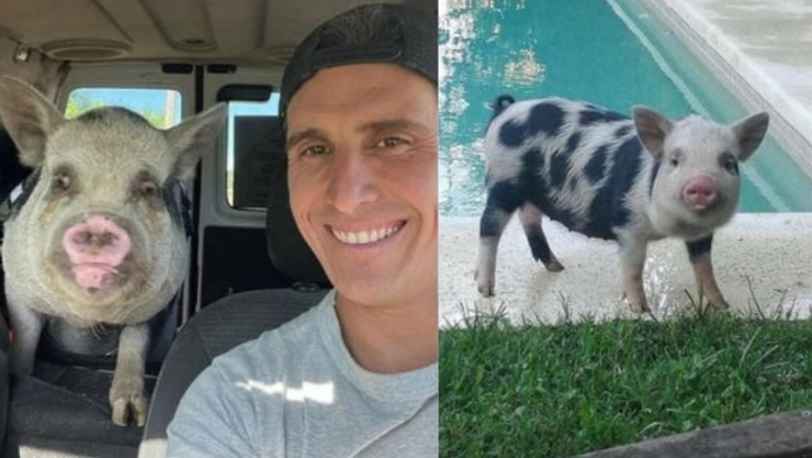 Adopta cerdito como mascota y lo asa a la parrilla.