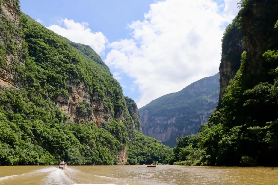 WhatsApp Image 2024-07-22 at 16.56.37.jpg