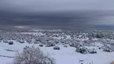 Protección Civil instala centro de monitoreo en La Rumorosa por nevada