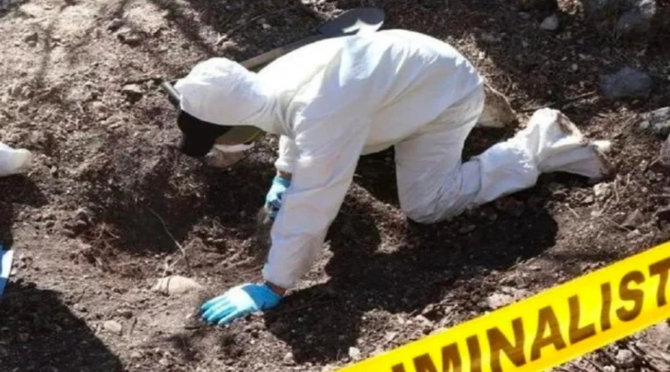 Hallan seis fosas clandestinas con restos humanos en Colima, México