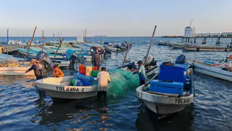 ¡Sorprendente! Capturan más de dos toneladas de pescado en costas de Veracruz