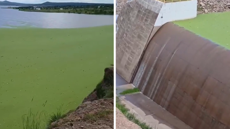 presa Abraham González.jpg