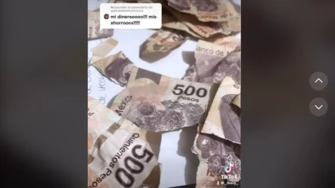 perrito-aguinaldo-billetes.png