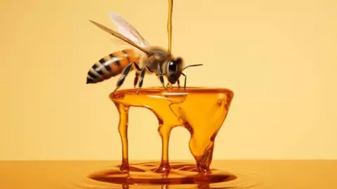 ¿Abejas cerca de tu casa?; el poderoso significado en Yucatán y lo que revela el Feng shui