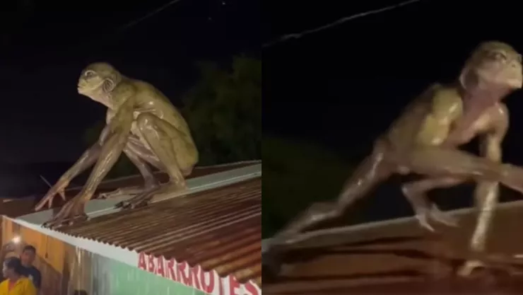 Aterrador y sorprendente VIDEO | Hombre rana es captado sobre una casa en Cancún y se vuelve viral