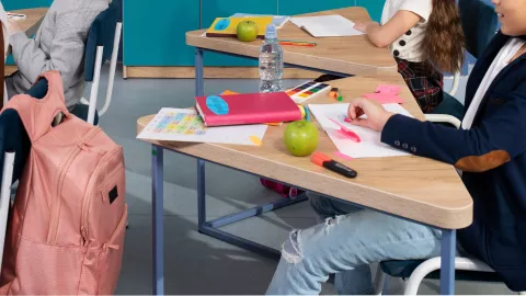 Calendario SEP 2024-2025 ¿Cuándo es el último día sin clases por el Consejo Técnico en Aguascalientes