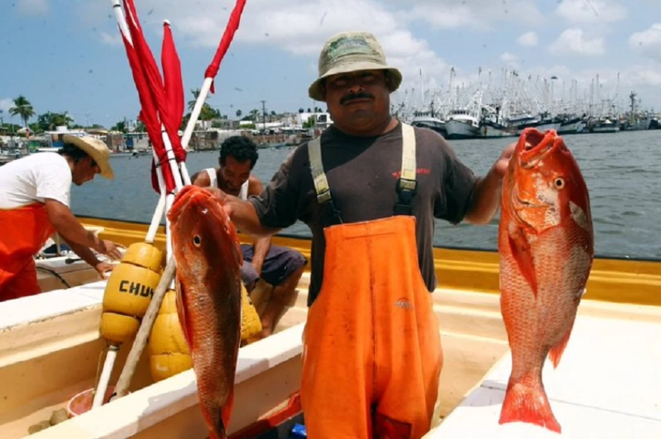 Twitter@Agricultura_mex - 1.jpg